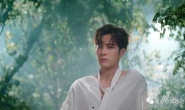 吴某某爆料名单最新,娱乐圈风云再起，明星命运大洗牌