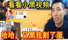 宝茶太华爆料视频大全,视频大全揭秘幕后真相