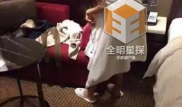 网友爆料宋喆马蓉视频,真相与争议再起